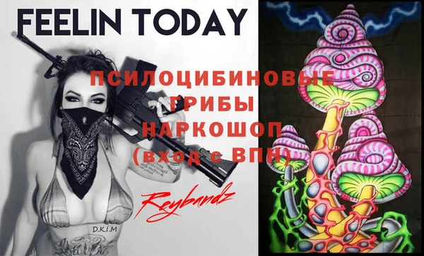 амф Абинск