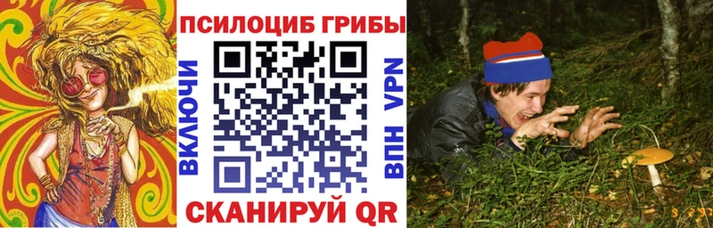 OMG ТОР  Алзамай  Галлюциногенные грибы MAGIC MUSHROOMS  продажа наркотиков 